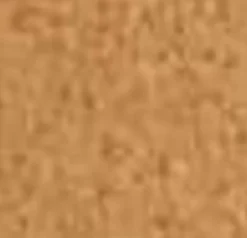 Aquatalia Sandi Caramel Best
