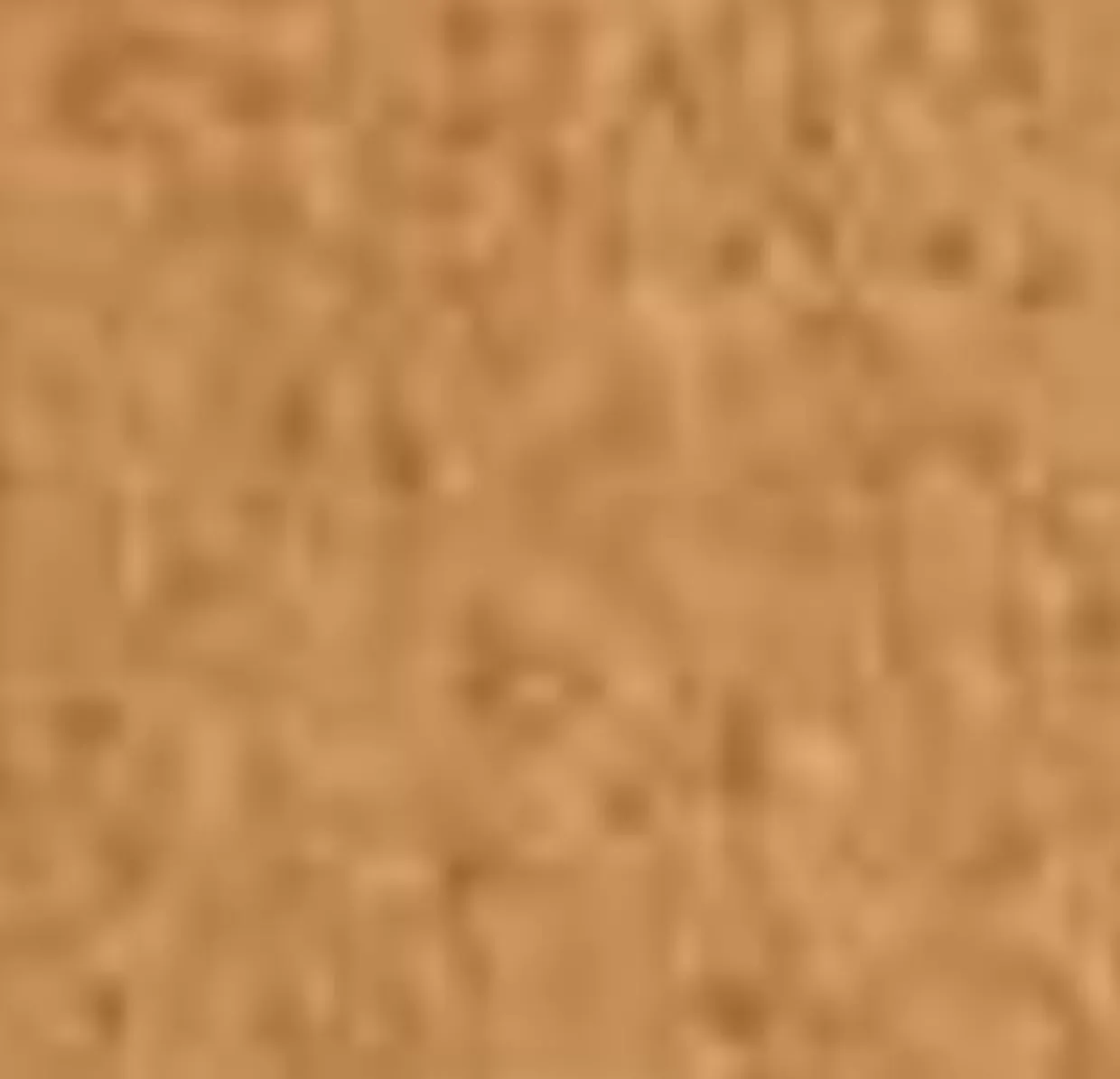 Aquatalia Sandi Caramel Best